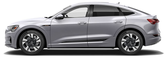 premium-plud.jpg e-tron Premium Plus