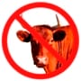 Buddy No Bull 90x90.jpg