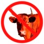 Buddy No Bull 90x90.jpg