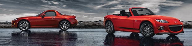 section_image_MX5_1.png