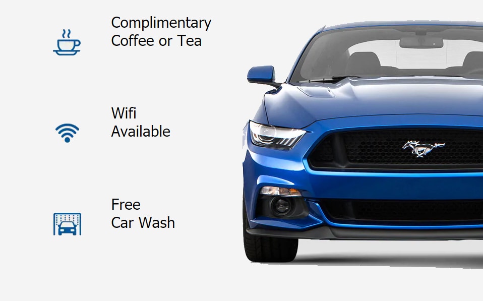 mustang45.png