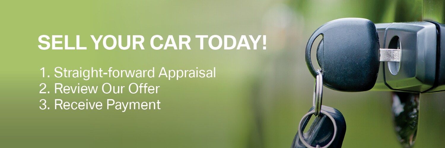 16WIN043-WeBuyCarsBanner-Reveal.jpg