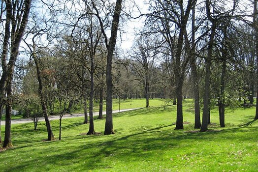 Pasture-Park.jpg