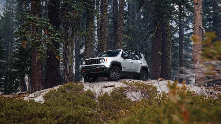 Jeep Renegade parked in the forrest