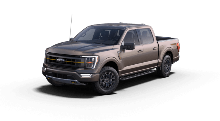 2023 Ford F-150 Tremor - Stone Gray