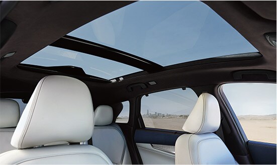2019-infiniti-qx50-interior-moonroof.jpg
