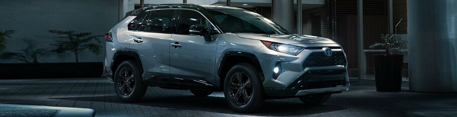 2019 RAV4 in Winnipeg