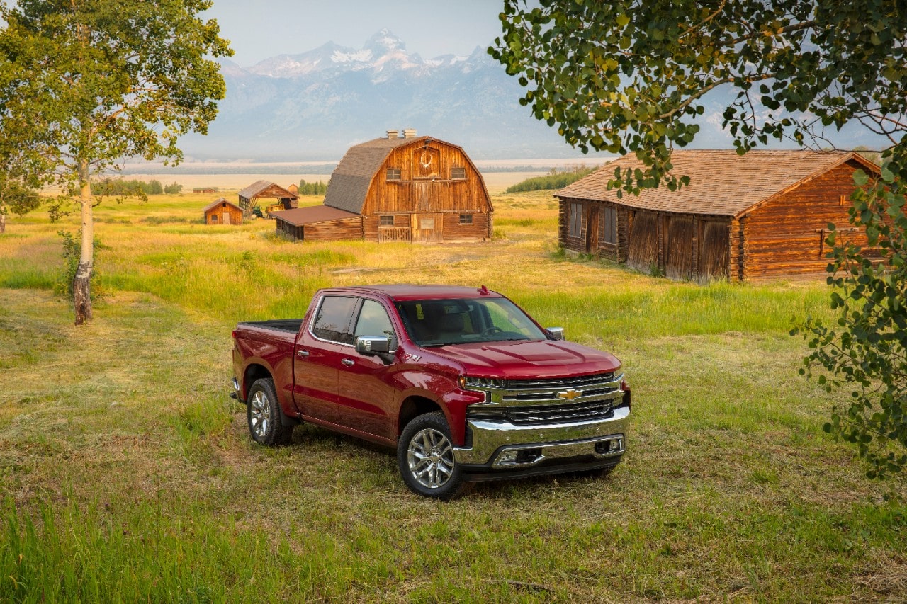 2019 Chevy Silverado 1500 LTZ Trim