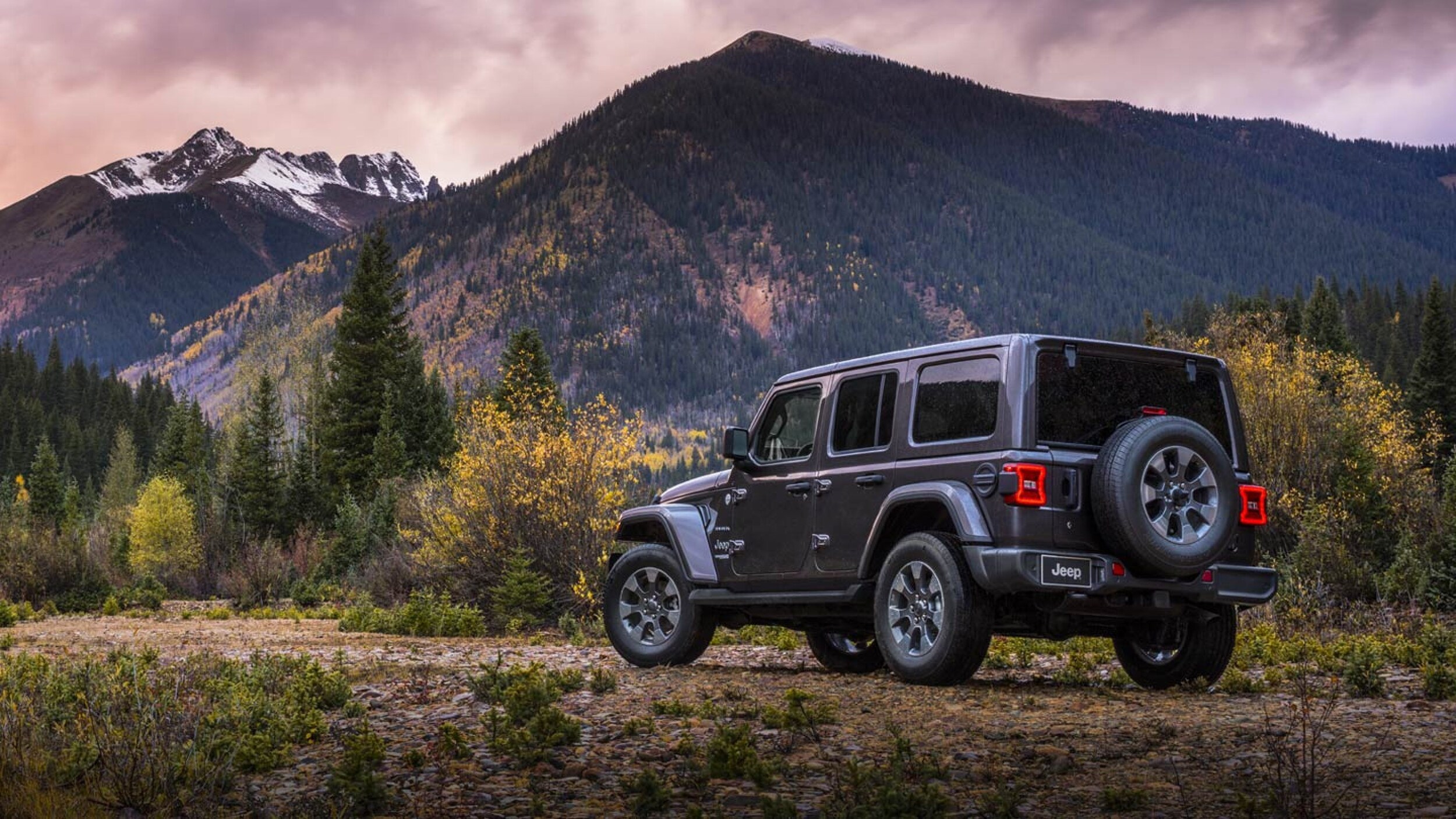 2019jeep.jpg