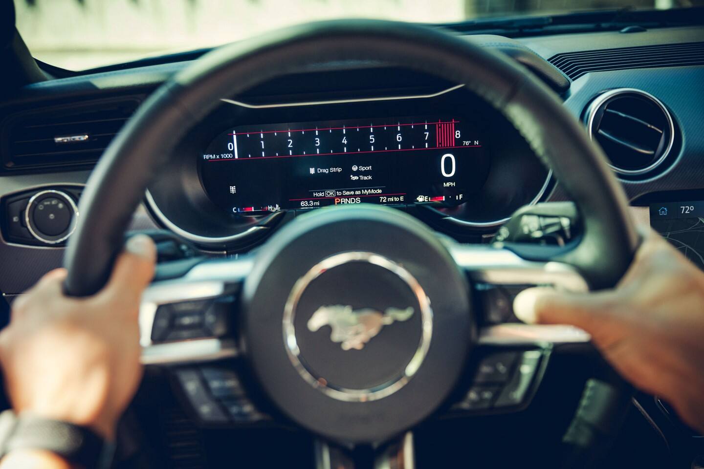 interior shleby.jpeg