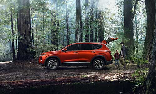 New 2019 Hyundai Santa Fe Blackfoot ID