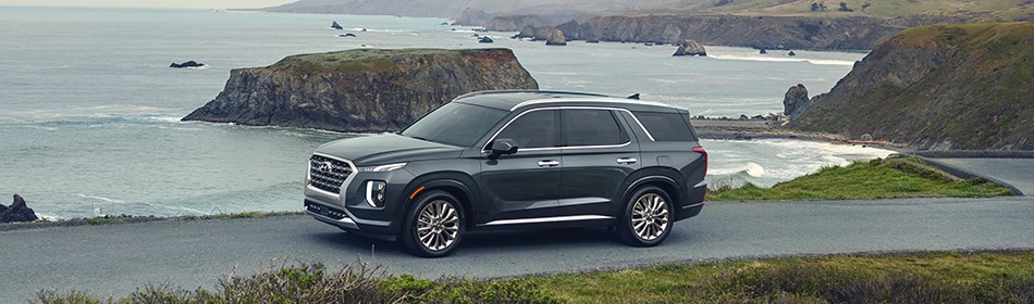 2020-Hyundai-Palisade-Limited-SUV-L24.jpg 2020 Hyundai Palisade on a cliff