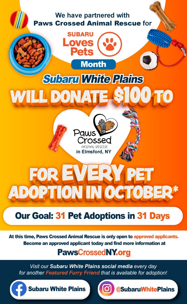 SWP-283-Subaru-Loves-Pets-Month-Landing-Page.jpg