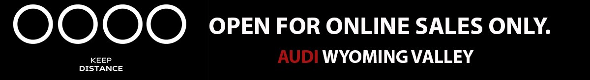 Audi Website Banner ad online sales only.jpg