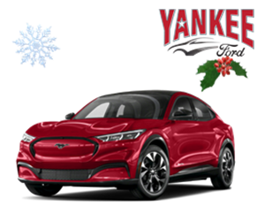 2021 Ford Mach_E.png