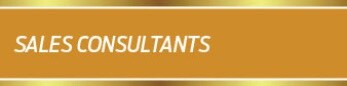 Sales Consultants Winners.jpg Sales Consultant