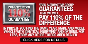 YAG519828_Banners_JPGS2_300X150.jpg