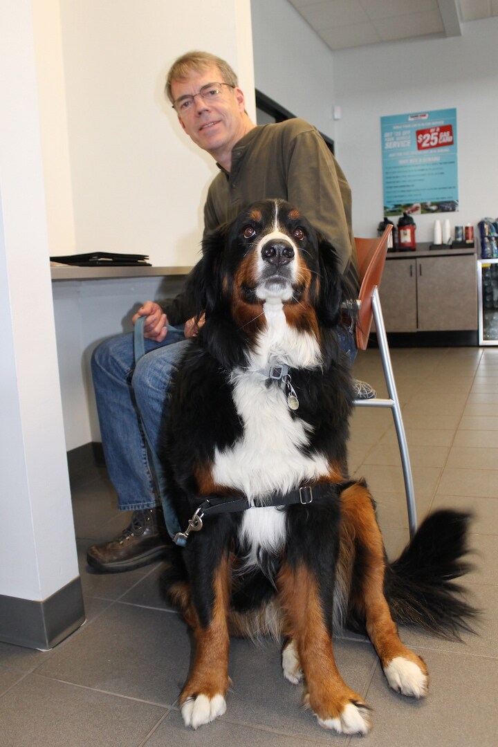 Subaru_Dog_Friendly.jpg