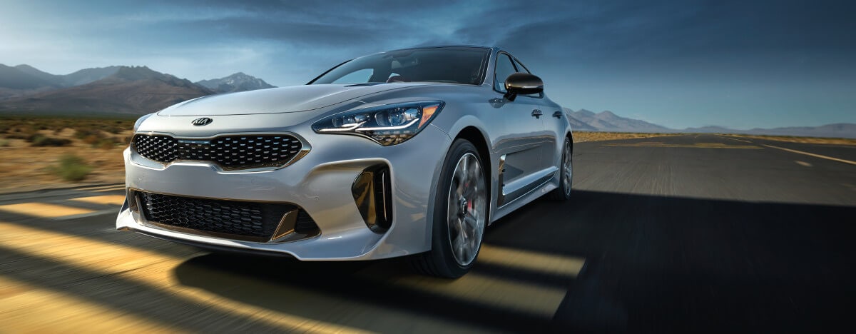 2018 Stinger Action 2018 Stinger Action