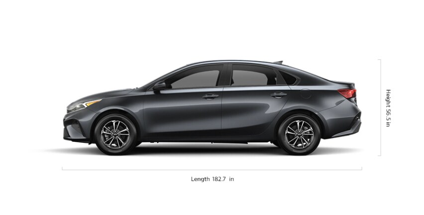 LXS
