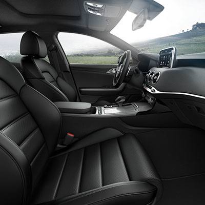 Stinger Interior
