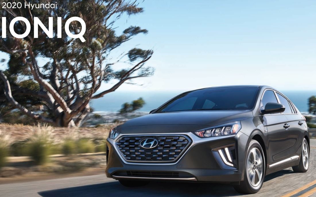 2021IoniqBrochure.JPG