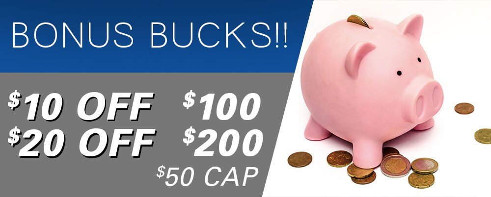 Bonusbucks-3_12619.jpg