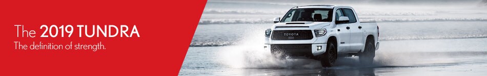 19TEVTO0001EverGreen_Banner_r1v1_LT_Tundra.jpg