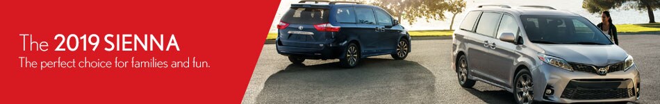 19TEVTO0001EverGreen_Banner_r1v1_LT_Sienna.jpg