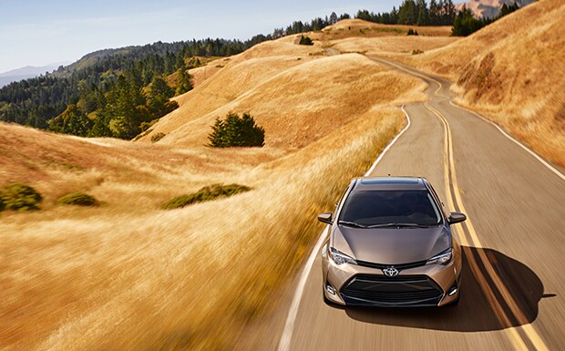 Corolla-2019-5.jpg