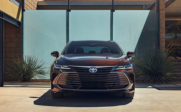 2019 avalon new 2.jpg