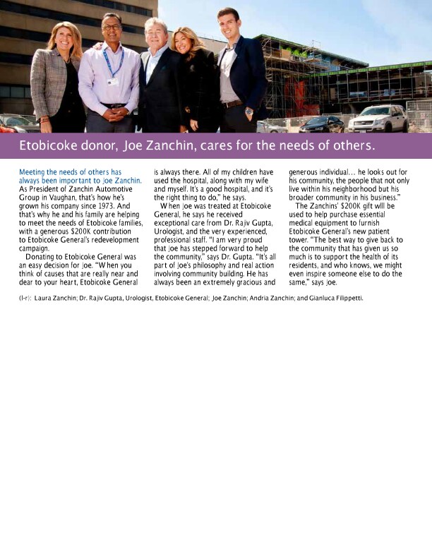 Zanchin 2018_Partners_Spring.pdf