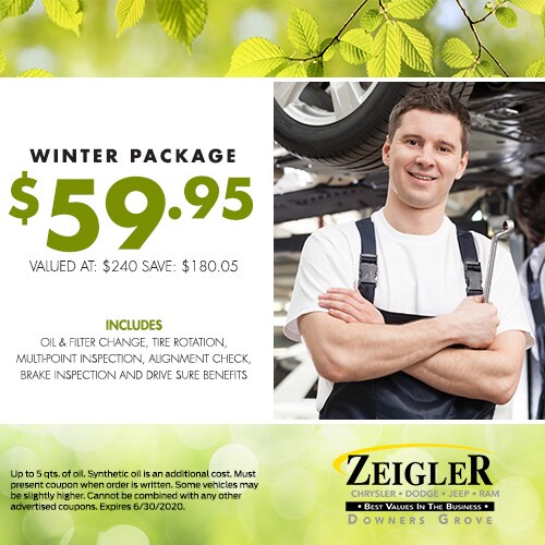 007-0420-ZDG251_coupons_500x500_winterpackage.jpg