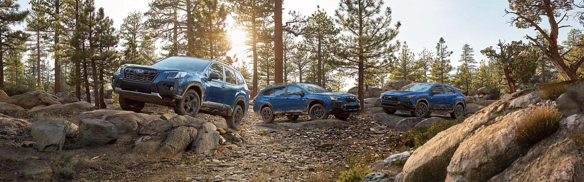 2024 Subaru Wilderness Models Banner