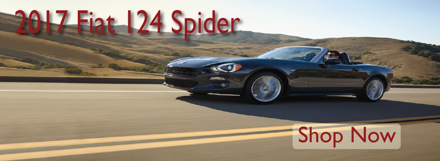 spider-100.jpg