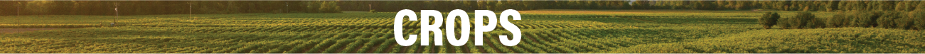AgPack4.webp