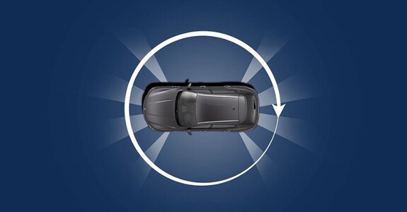 Surround View System
