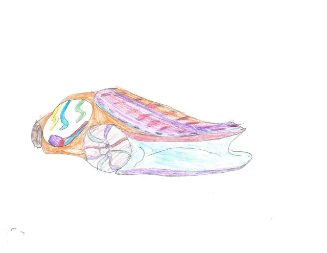 Doylestown 3rd Grade 3rd Place Winner - Toyota Pringle by Heya S.