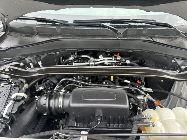 View 37