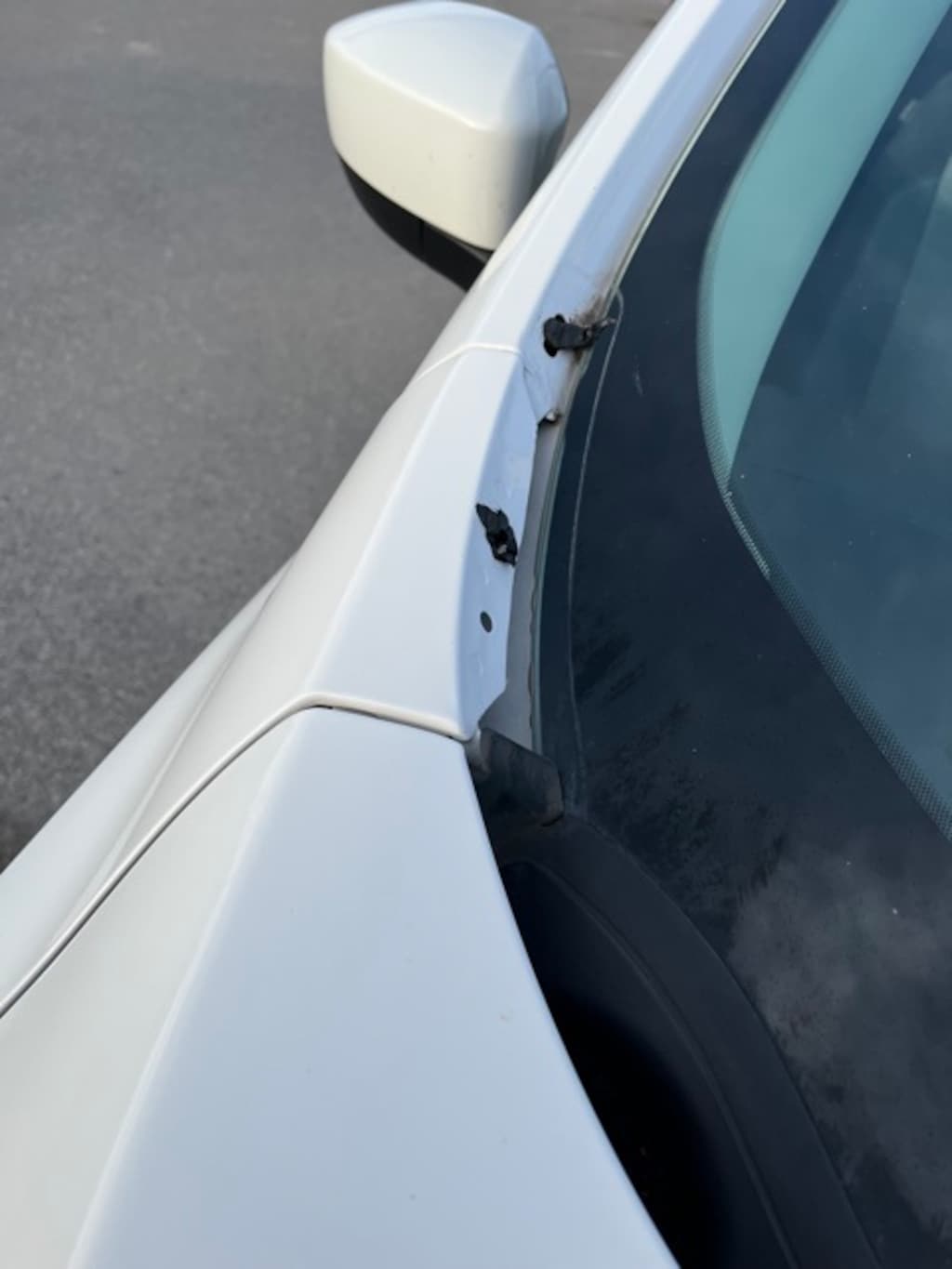 Used 2019 Ford Escape SE SUV