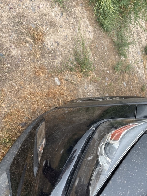 View 16