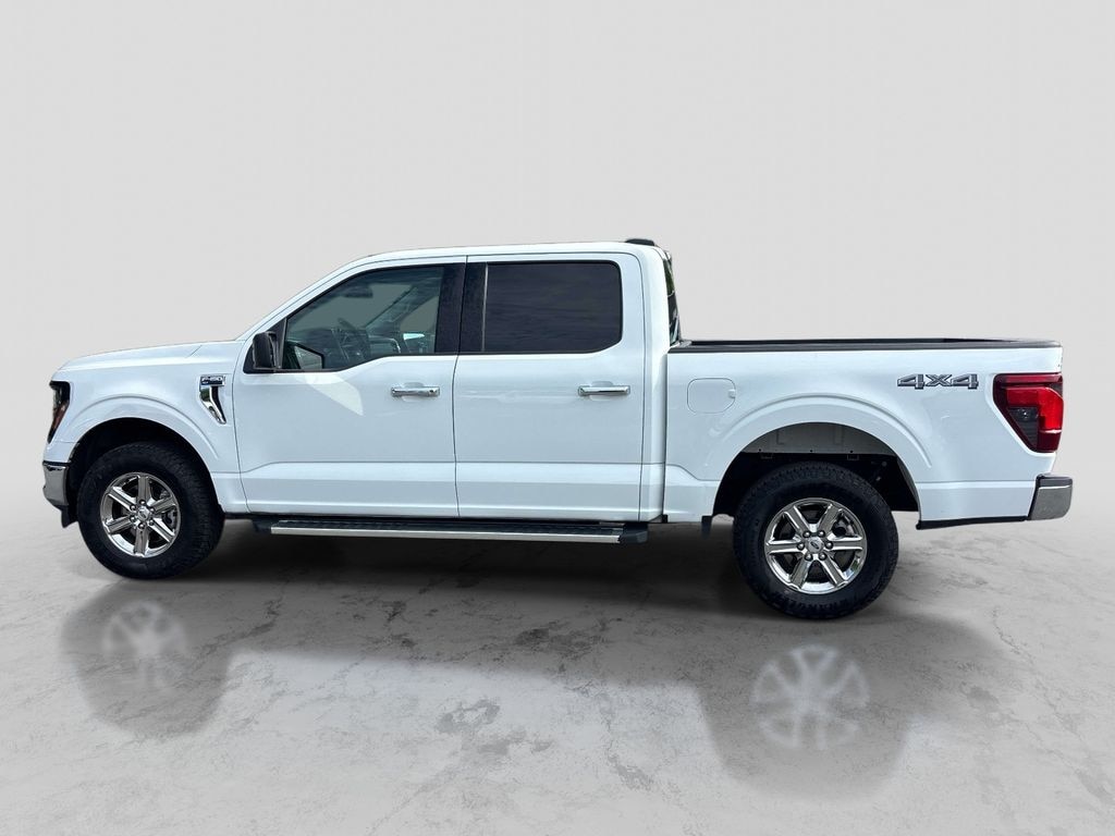 Used 2025 Ford F-150 XLT Truck