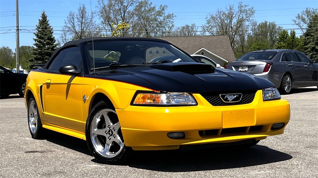 2004 Ford Mustang GT photo 3