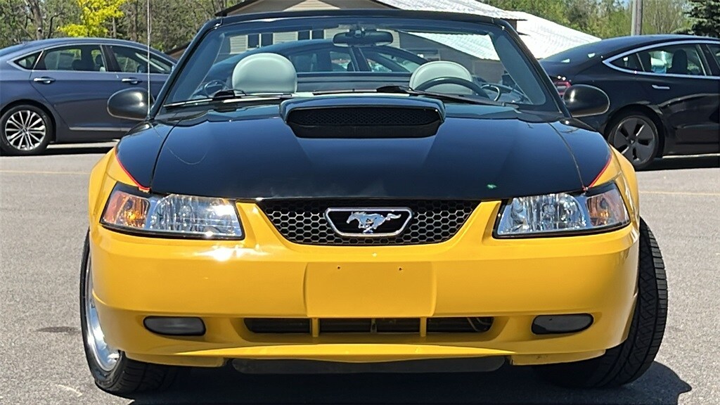 2004 Ford Mustang GT photo 4