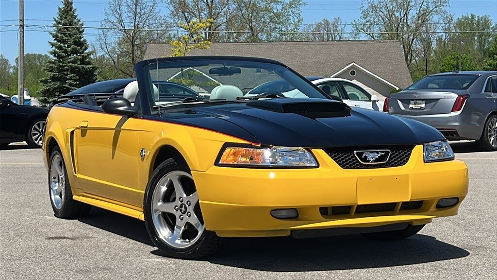 2004 Ford Mustang GT photo 2
