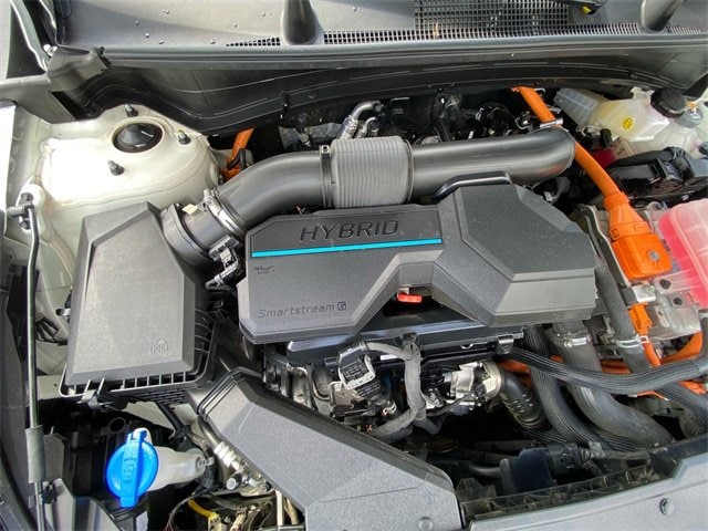 View 29