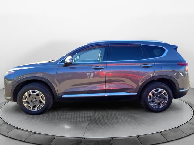2021 Hyundai Santa Fe Blue photo 2