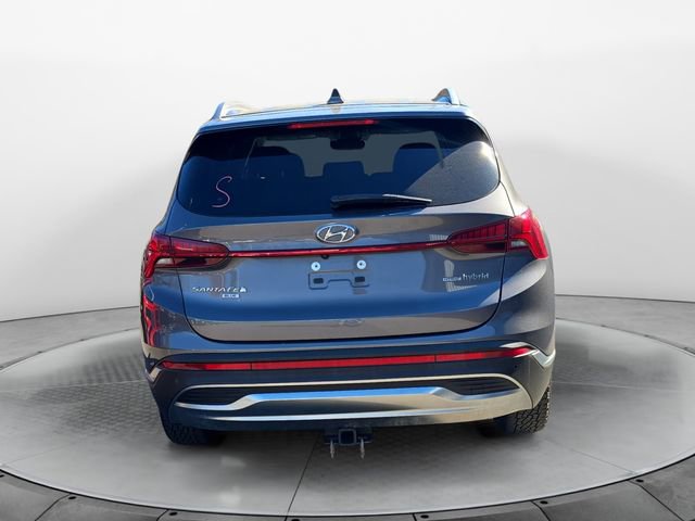 2021 Hyundai Santa Fe Blue photo 4