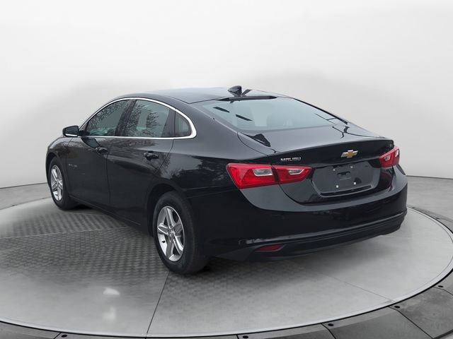 2024 Chevrolet Malibu 1LT photo 3
