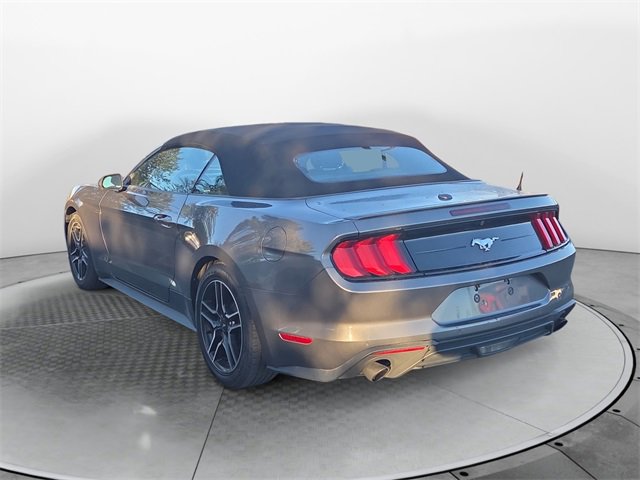 2023 Ford Mustang EcoBoost Premium Convertible photo 3